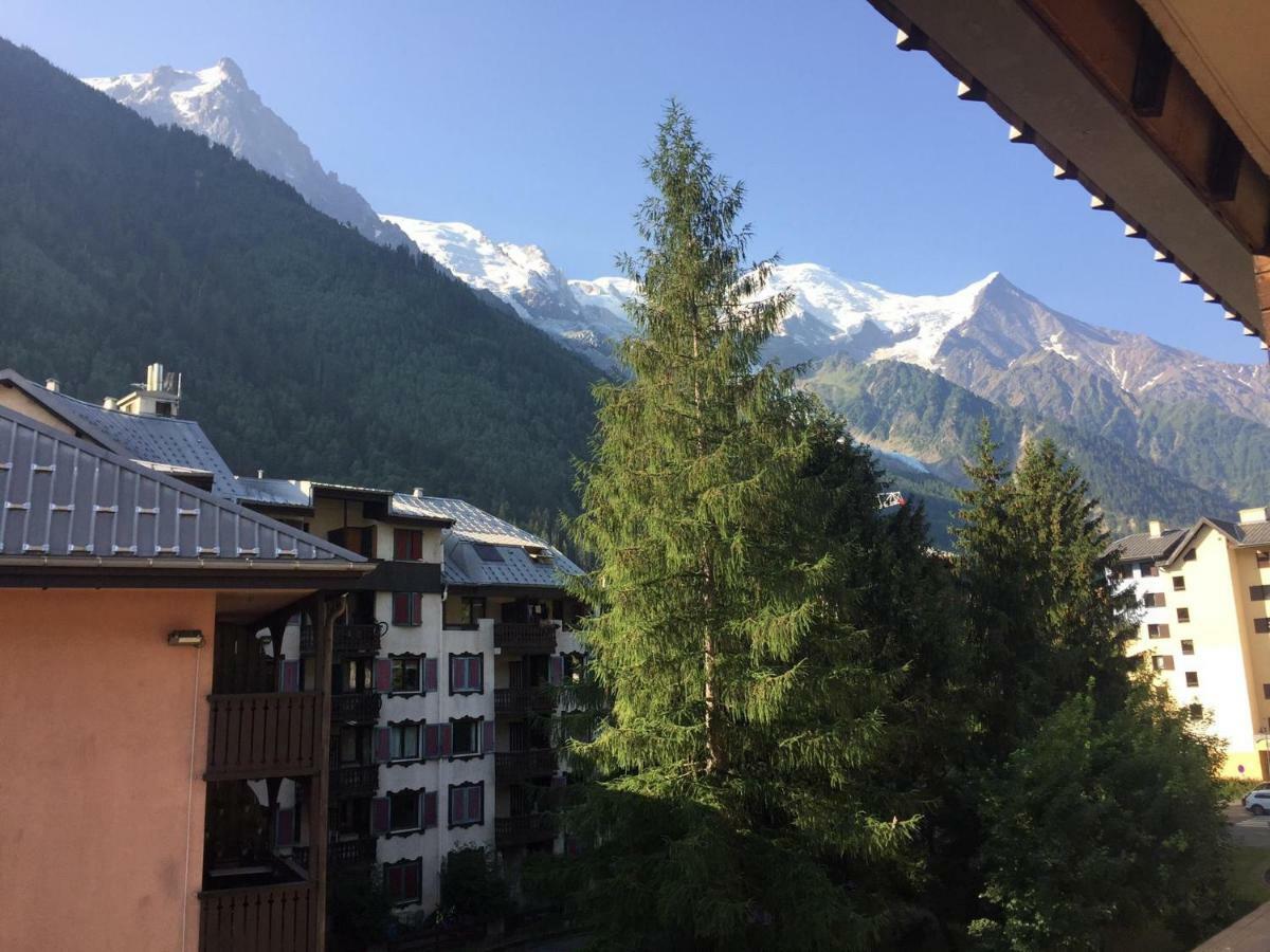 Studio Chamonix Centre With Mont-Blanc Viewアパートメント エクステリア 写真